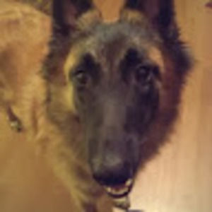 Meet your Posher, Joseph